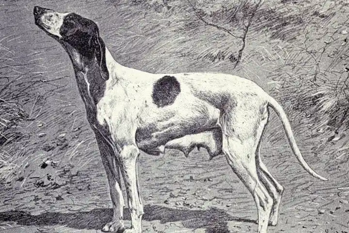 Esboço de Braque du Puy, por volta de 1915.