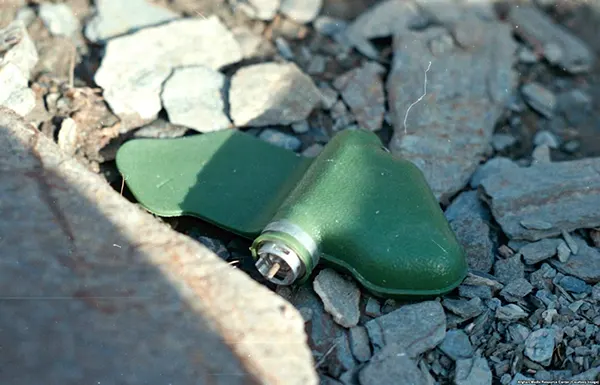 Uma "mina borboleta" à espreita de uma vítima. Milhões de aparelhos do tamanho de celulares foram lançados por aeronaves soviéticas por todo o Afeganistão. As minas da cor da selva foram facilmente avistadas e evitadas pelos combatentes, mas muitas feriram crianças curiosas.
